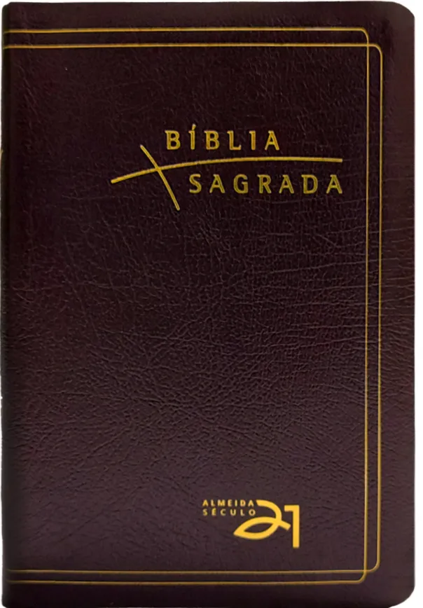 Kit com 3 livros “365 Torrentes no Deserto” + "Compartilhando Jesus – Abalando o Islã" + "Bíblia Almeida Século 21" + DVD "Liderança de Jesus" de brinde - Imagem 10