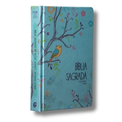 Bíblia Nvi Letra Grande - Um Tempo Especial com Deus