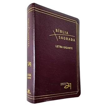 Bíblia Almeida Século 21 - Luxo Couro - Letra Gigante